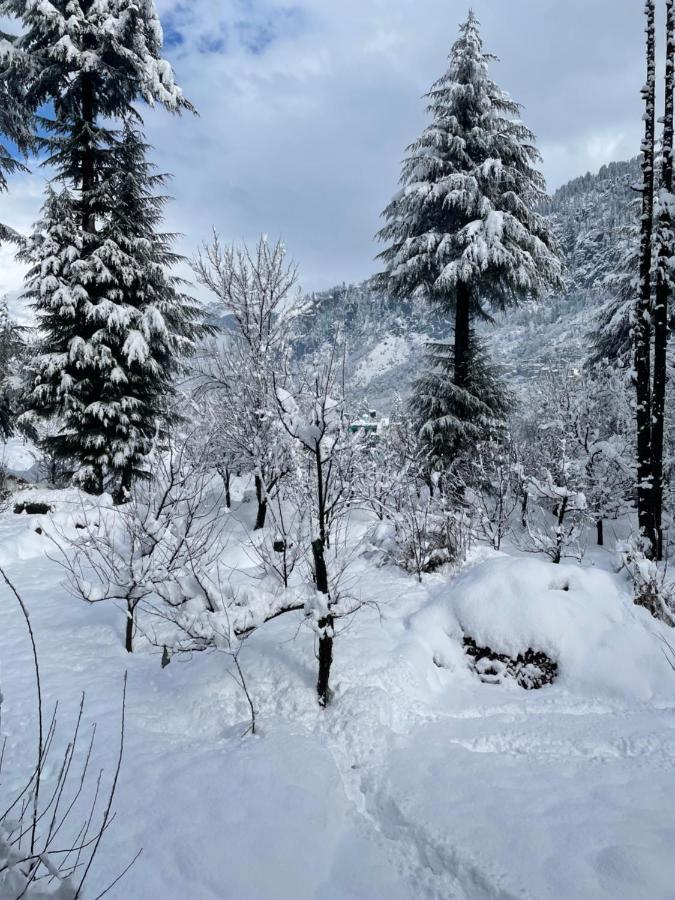 The Doors Inn Manali  Exterior photo